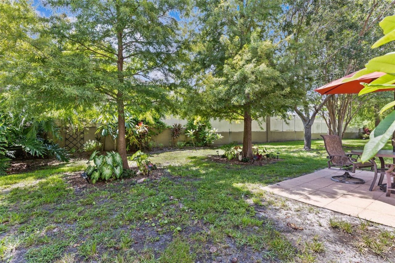 3350 Covered Bridge Drive W, Dunedin, FL 34698 Photo