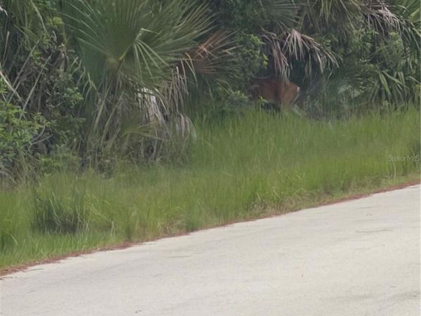 TBD SW 129TH LOOP , OCALA, FL 34473