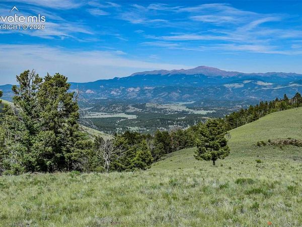 000 Bear Cat Road, Guffey, CO 80820