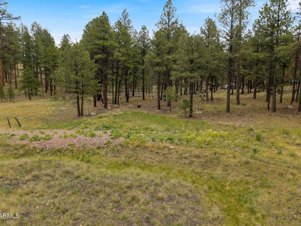 TBD County Rd 2121, Unit -, Alpine, AZ 85920