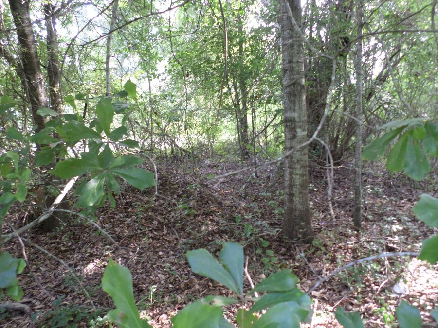 Property Image 54