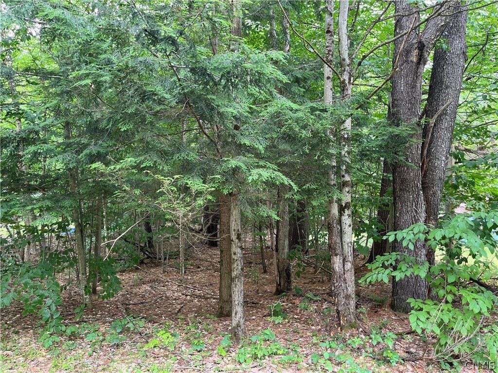 Pine Cone Lane, Glenfield, NY 13343 Main Photo