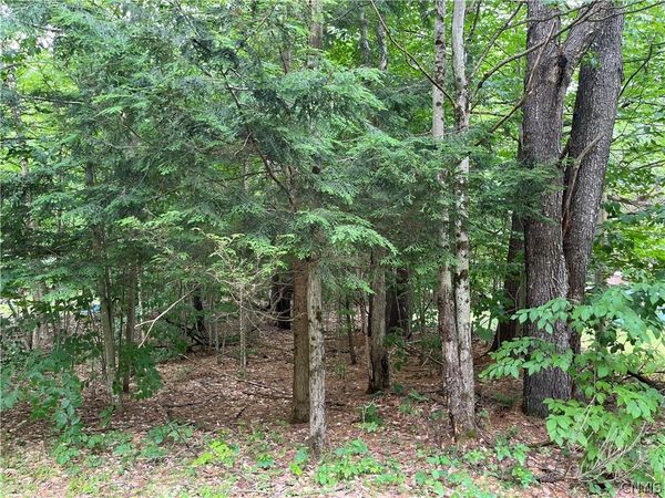 Pine Cone Lane , Glenfield, NY 13343