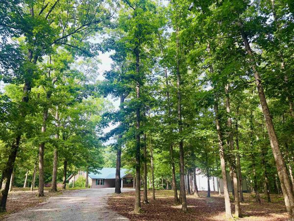252 Mitchell Road , Mountain View, AR 72560