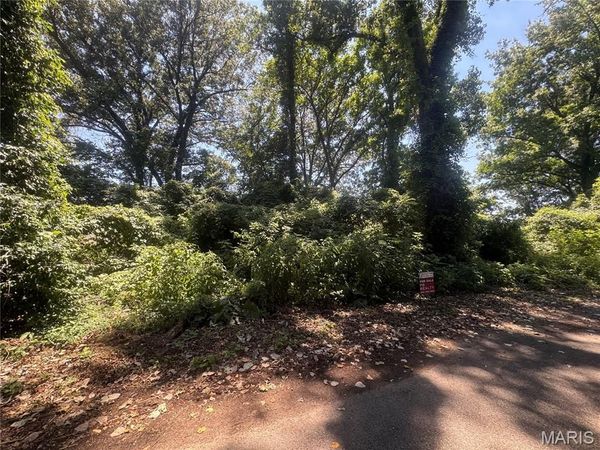 Lots 10,11 S Side International, Poplar Bluff, MO 63901