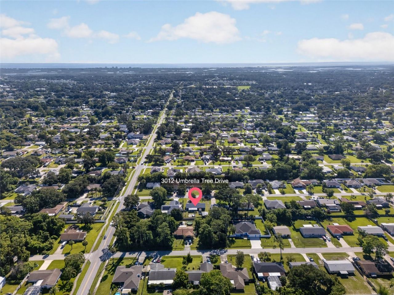 3012 Umbrella Tree Drive, Edgewater, FL 32141 Photo