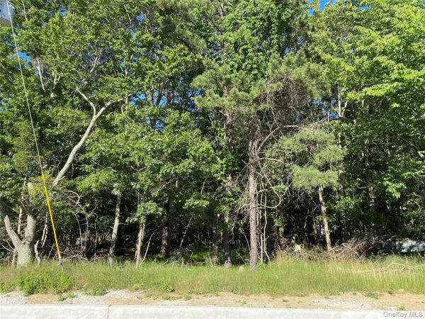 Pleasant Avenue , Medford, NY 11763