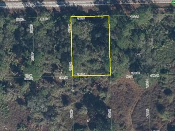 3268 GARDEN GLEN AVENUE , LAKE PLACID, FL 33852