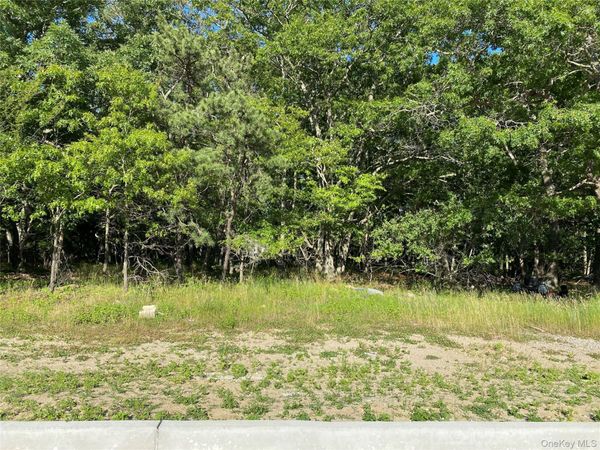 Granny Road , Medford, NY 11763