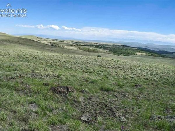 00 Bear Cat Road, Guffey, CO 80820