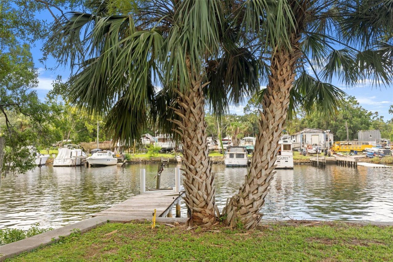 920 Alicia Avenue, Tampa, FL 33604 Photo