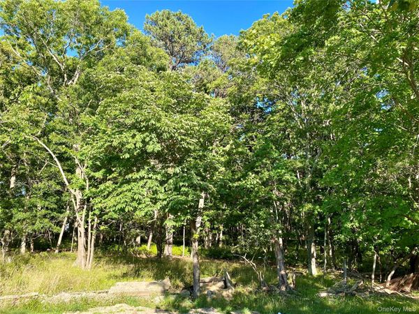 Granny Road , Medford, NY 11763
