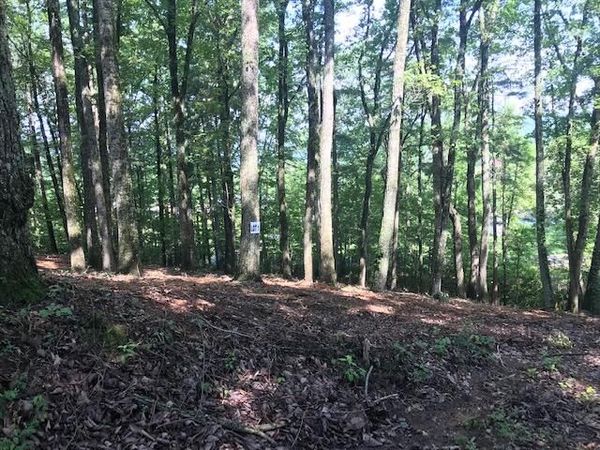 25 Piney Knob Drive , Spring City, TN 37381