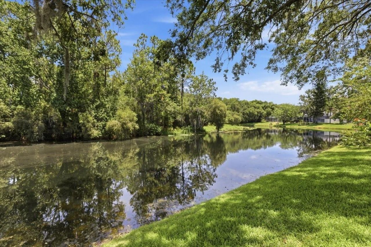 4703 Devonshire Boulevard, Palm Harbor, FL 34685 Photo