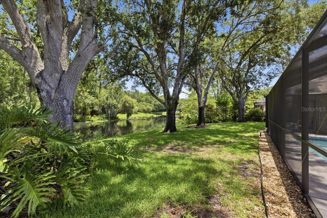 4703 Devonshire Boulevard, Palm Harbor, FL 34685 Photo