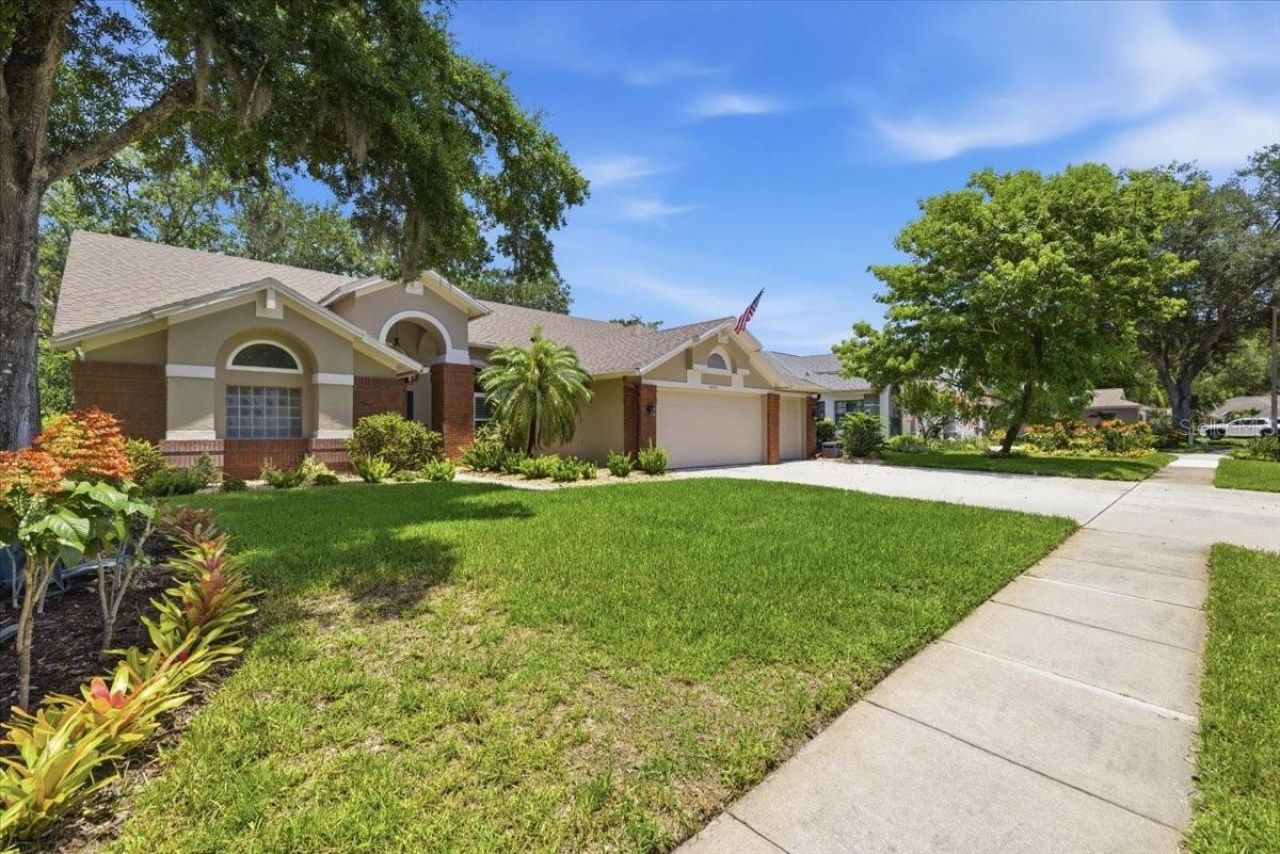 4703 Devonshire Boulevard, Palm Harbor, FL 34685 Photo