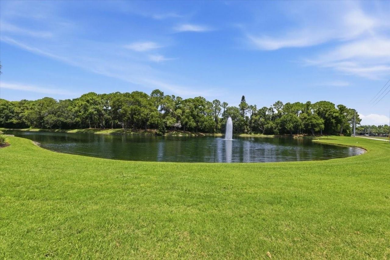 4703 Devonshire Boulevard, Palm Harbor, FL 34685 Photo