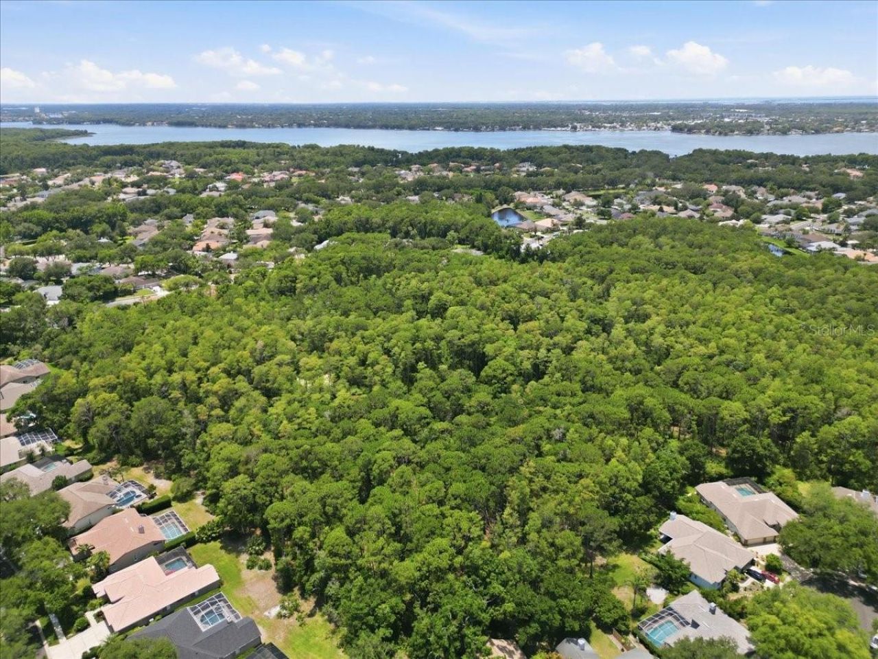 4703 Devonshire Boulevard, Palm Harbor, FL 34685 Photo