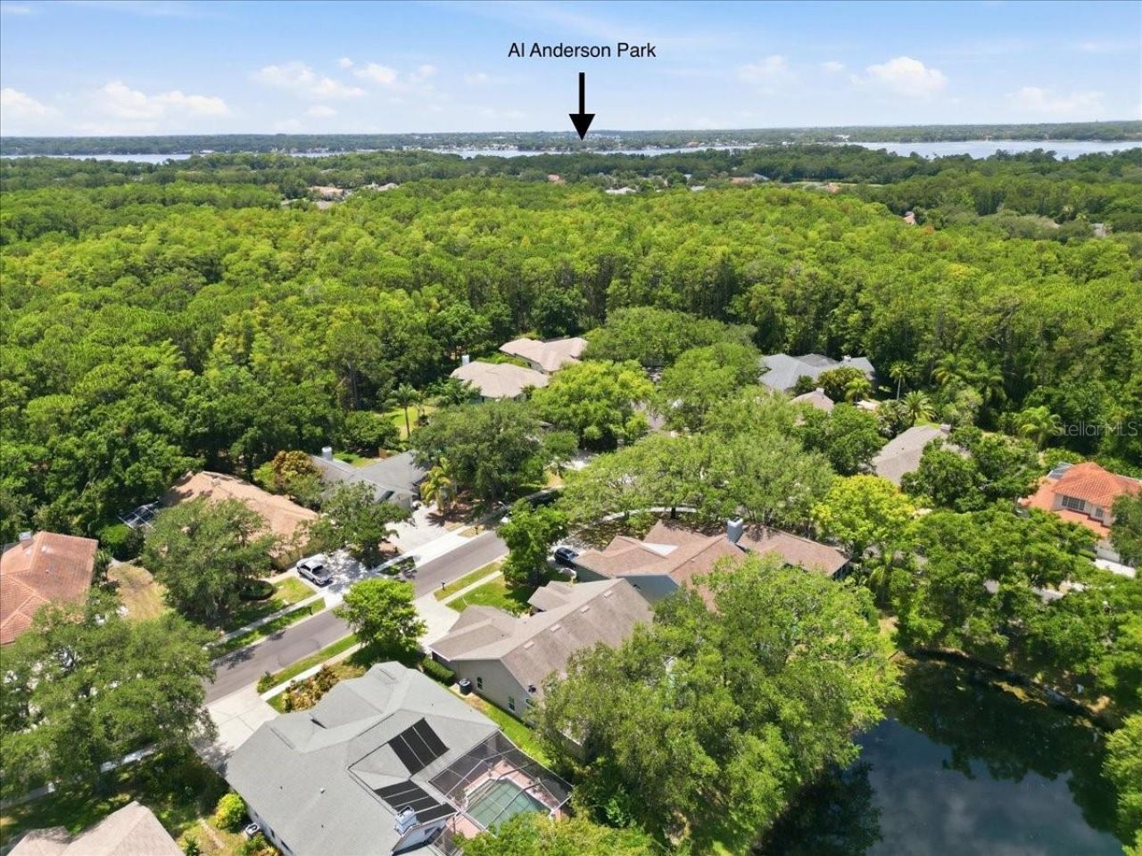 4703 Devonshire Boulevard, Palm Harbor, FL 34685 Photo