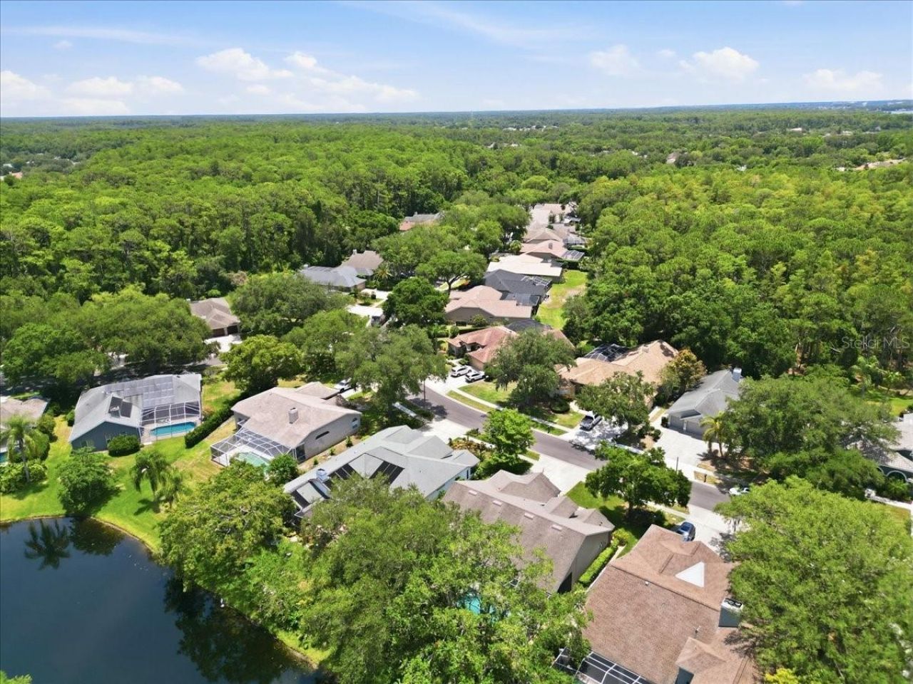 4703 Devonshire Boulevard, Palm Harbor, FL 34685 Photo