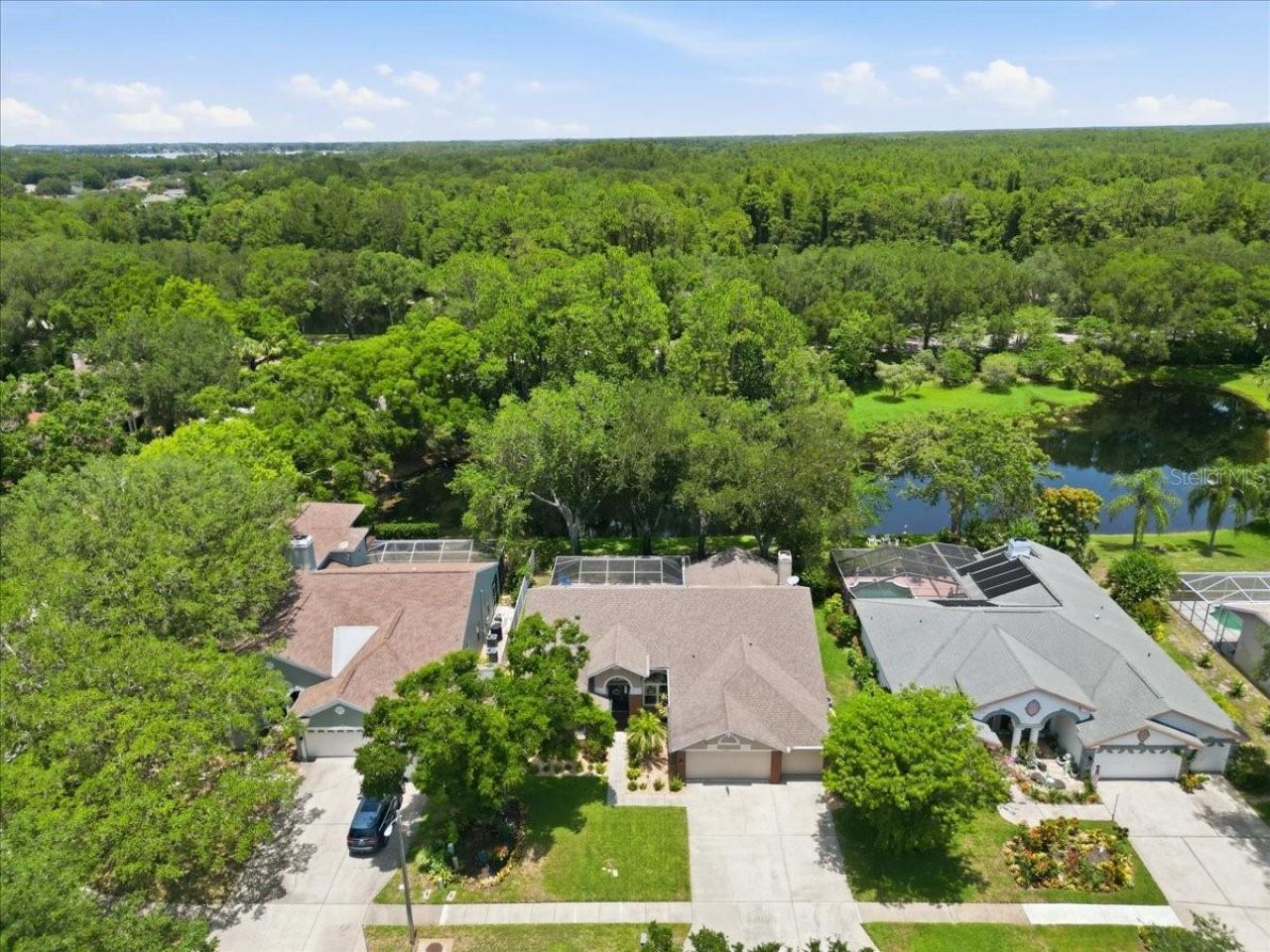 4703 Devonshire Boulevard, Palm Harbor, FL 34685 Photo
