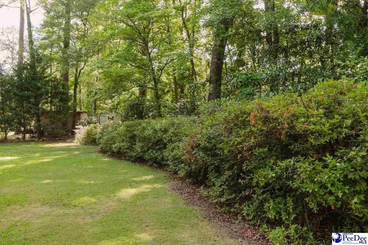 504 Park Street Photo 26