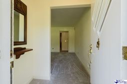 504 Park Street photo 4