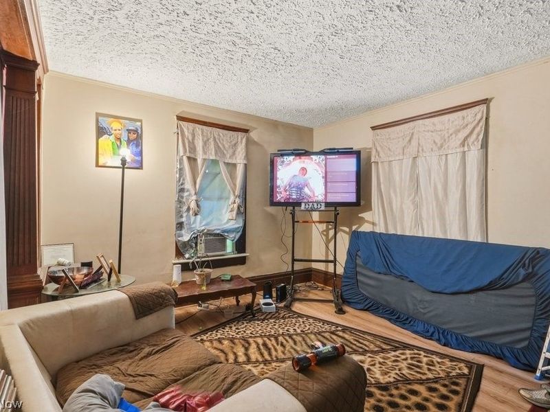 222 W Miller Avenue, Akron, OH 44301 Photo 7