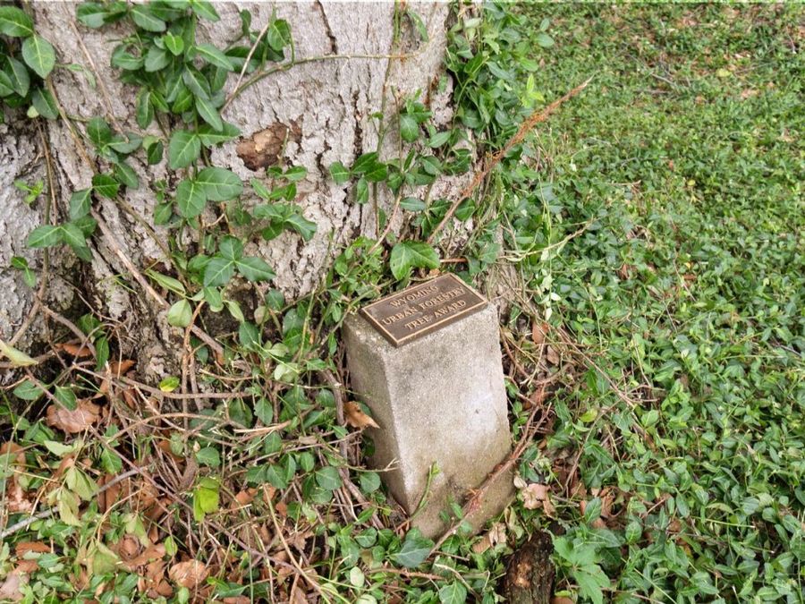 Property Image 51