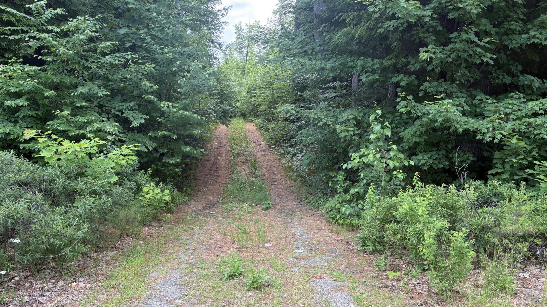 Route 17 Augusta Rockland Road, Windsor, ME 04363 Main Photo