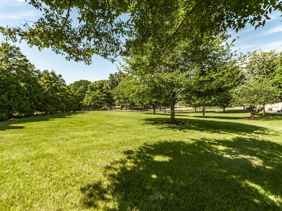 Property Image 78