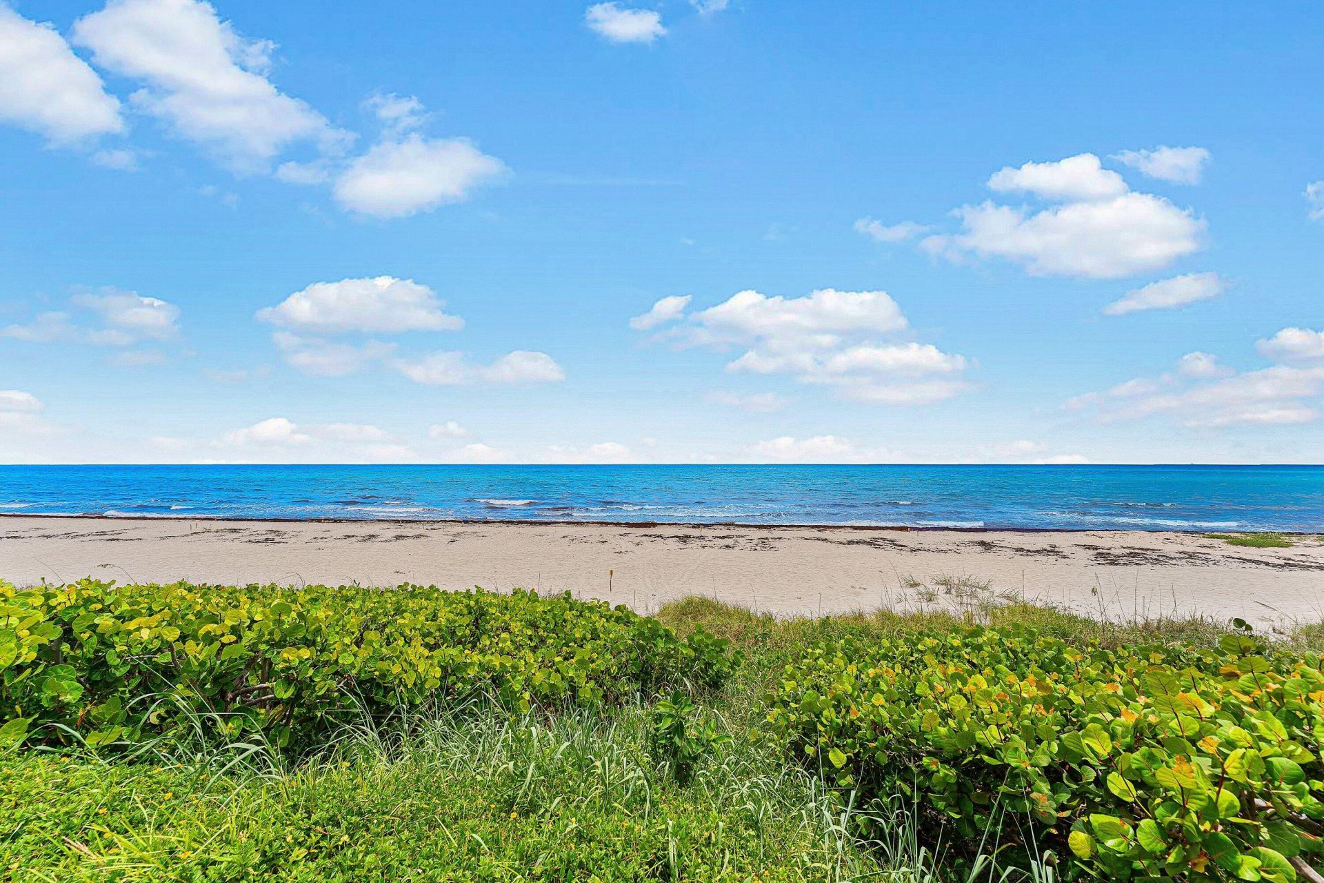 3851 N Ocean Boulevard, Unit 4030, Gulf Stream, FL 33483 Photo