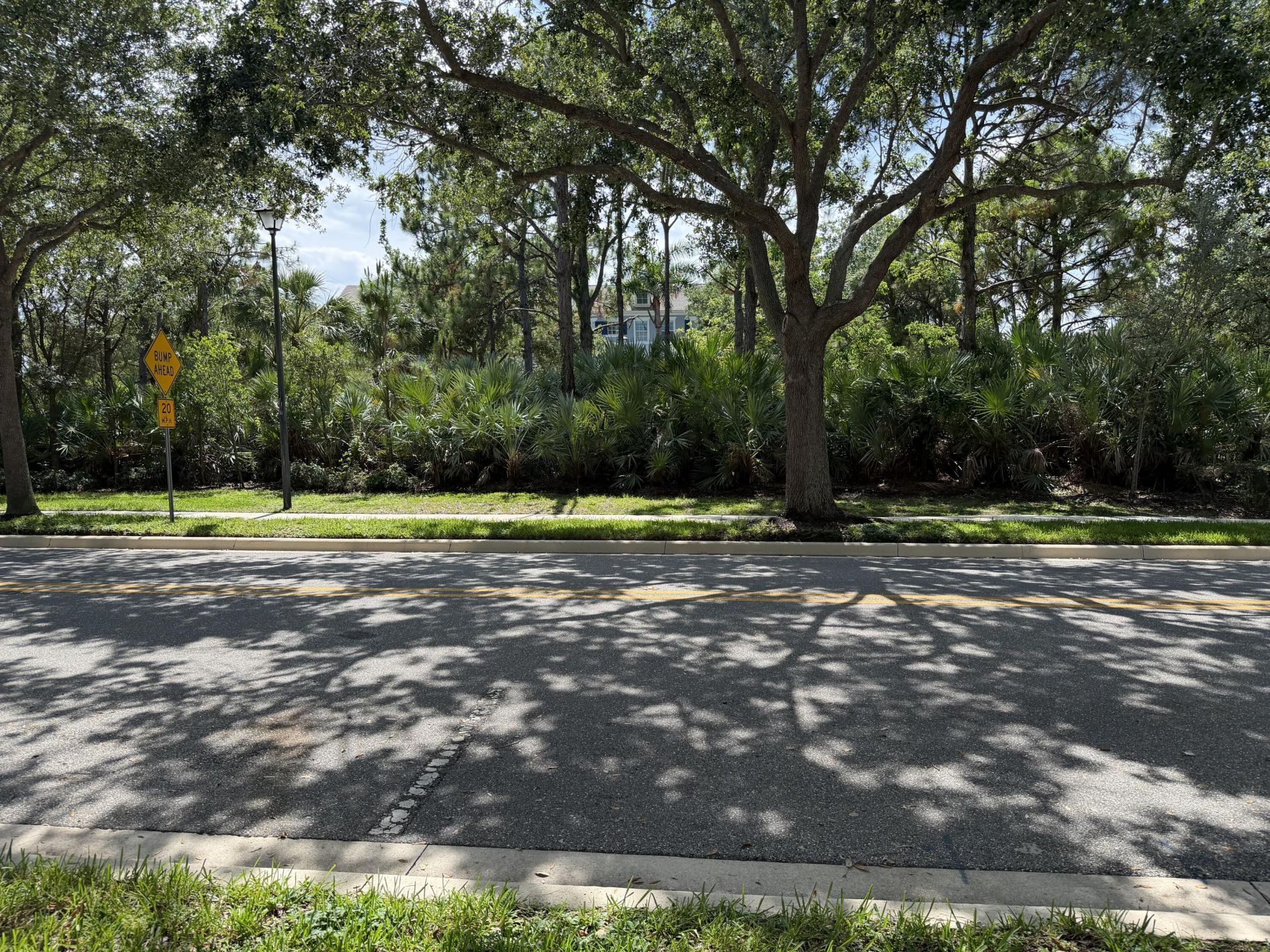 241 E Thatch Palm Circle, Jupiter, FL 33458 Photo