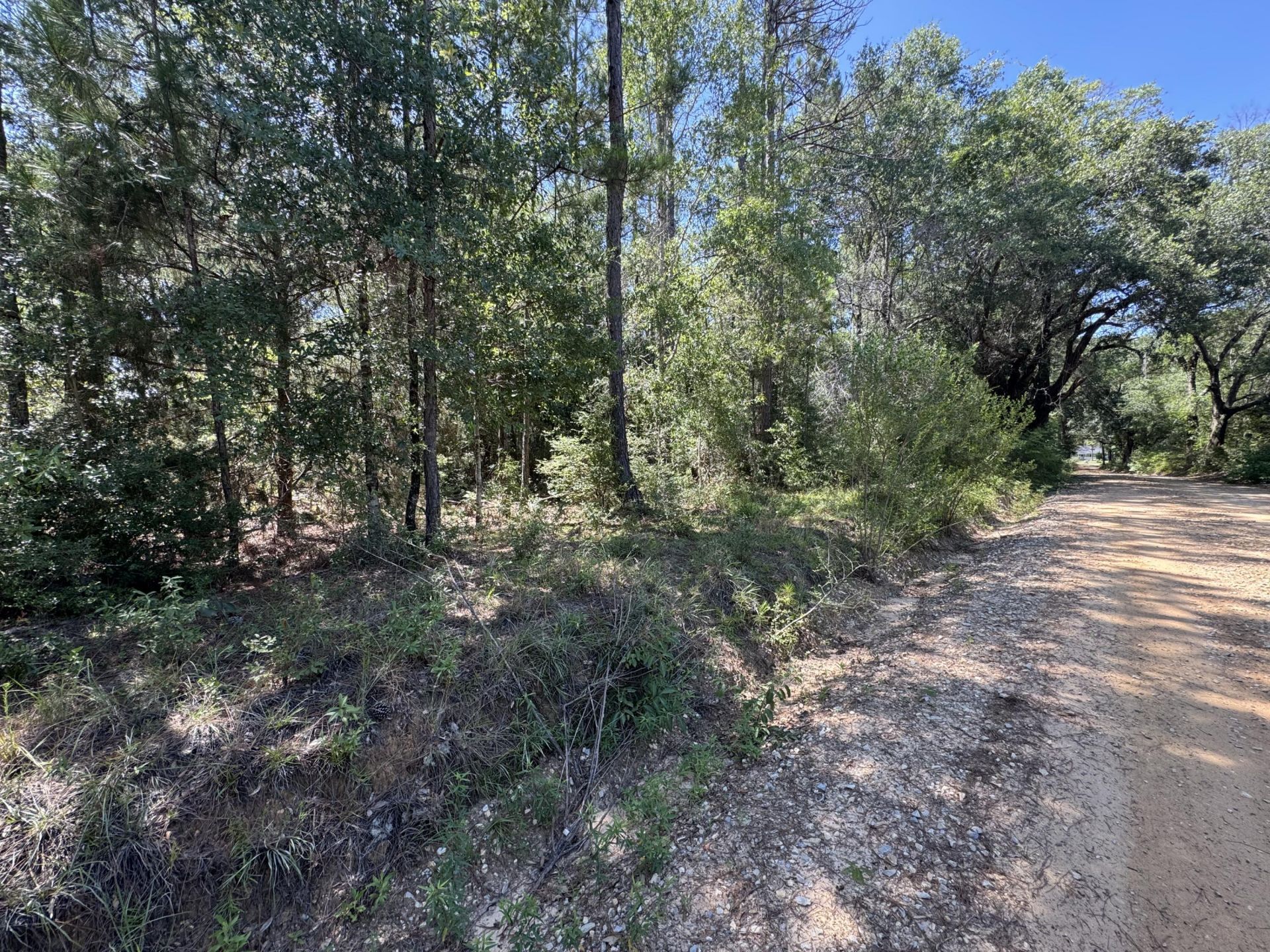 1900 Olive Lane, Bonifay, FL 32425 Photo