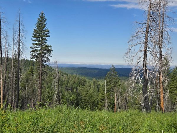 4898 Creekside, Grizzly Flats, CA 95636