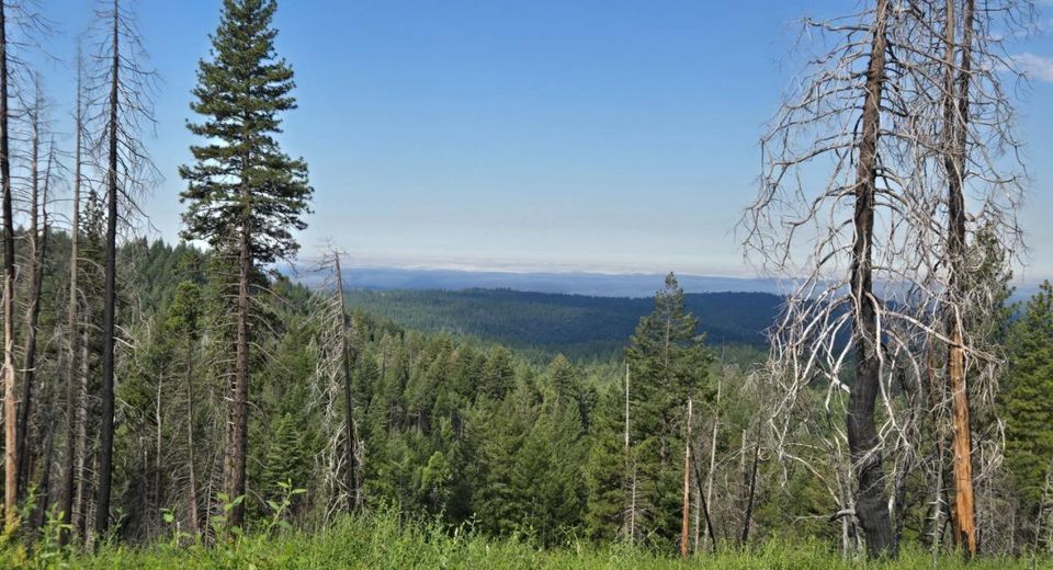 4898 Creekside, Grizzly Flats, CA 95636 Photo