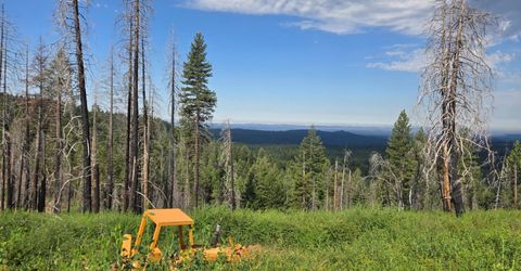4898 Creekside, Grizzly Flats, CA 95636 Photo