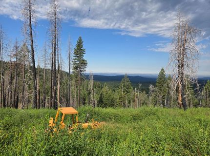 4898 Creekside, Grizzly Flats, CA 95636 Photo