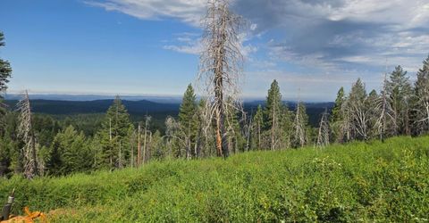 4898 Creekside, Grizzly Flats, CA 95636 Photo