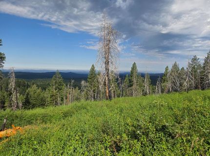 4898 Creekside, Grizzly Flats, CA 95636 Photo