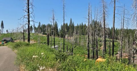 4898 Creekside, Grizzly Flats, CA 95636 Photo