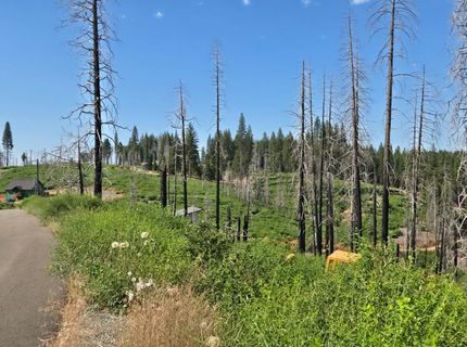 4898 Creekside, Grizzly Flats, CA 95636 Photo