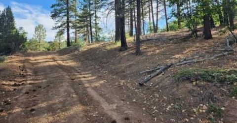 Cheney Creek Rd, Susanville, CA 96130 Photo