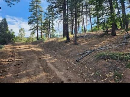 Cheney Creek Rd, Susanville, CA 96130 Photo