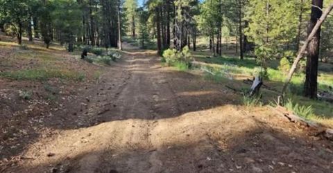 Cheney Creek Rd, Susanville, CA 96130 Photo