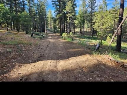 Cheney Creek Rd, Susanville, CA 96130 Photo
