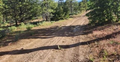 Cheney Creek Rd, Susanville, CA 96130 Photo