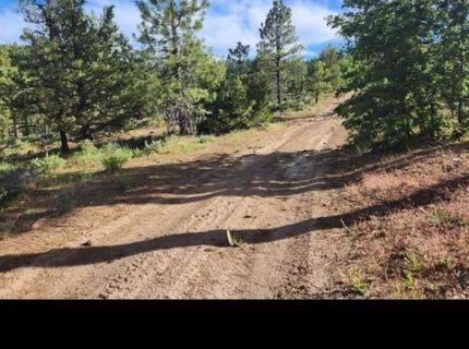 Cheney Creek Rd, Susanville, CA 96130 Photo