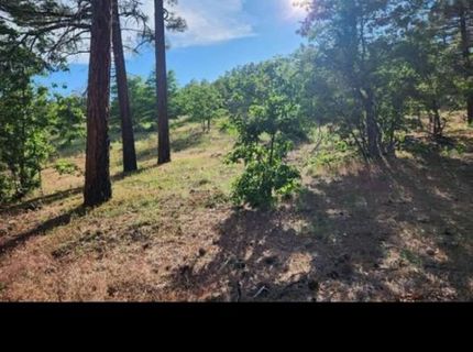 Cheney Creek Rd, Susanville, CA 96130 Photo