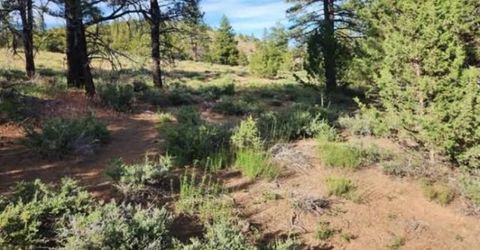 Cheney Creek Rd, Susanville, CA 96130 Photo